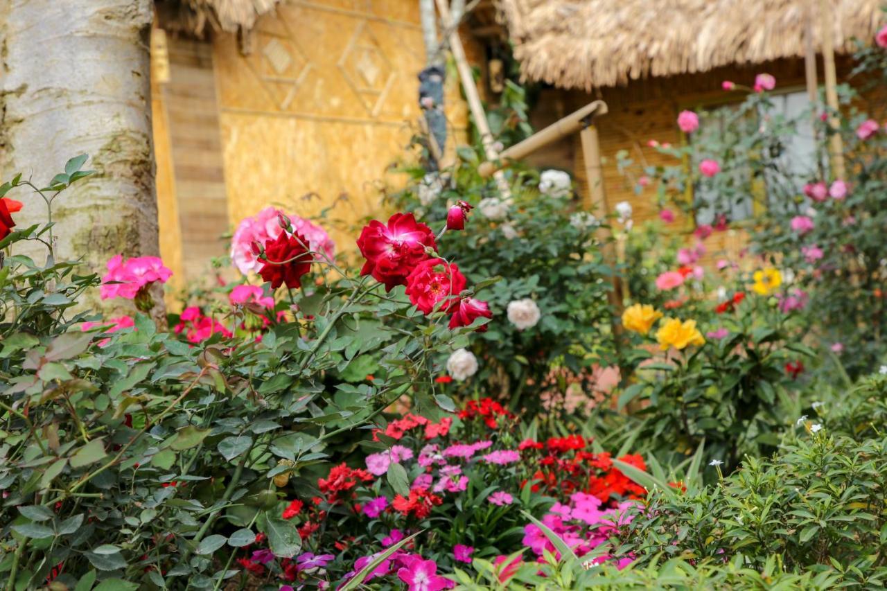 Tam Coc Wonderland Bungalow Ниньбинь Экстерьер фото